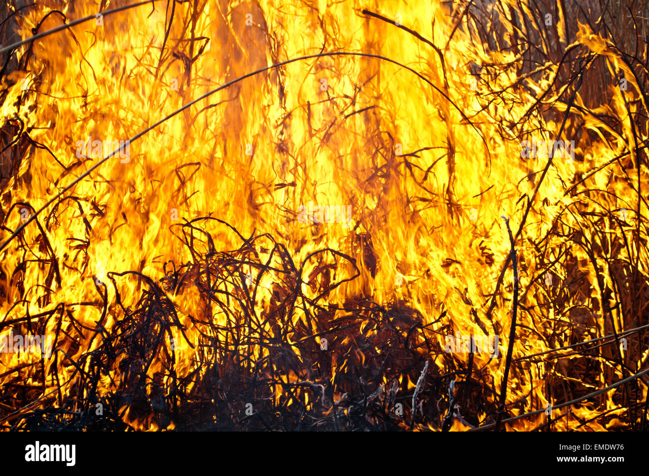 Fie fire hi-res stock photography and images - Alamy