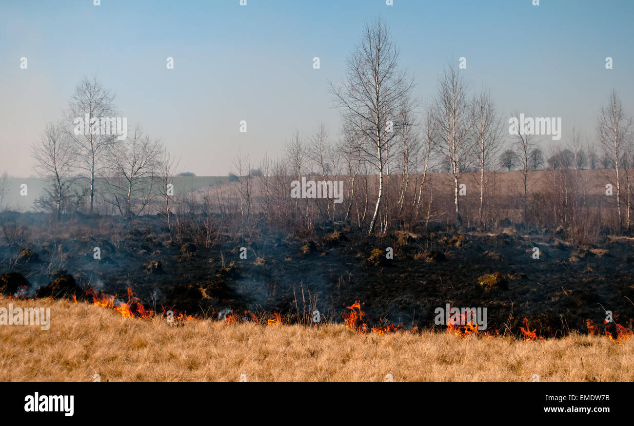 fire on spring field Stock Photo Alamy
