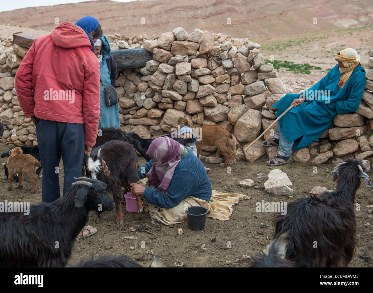 Nomadic Berber, living in caves in the central High Atlas Mountains near Jebel Talouit (mountain). Stock Photo