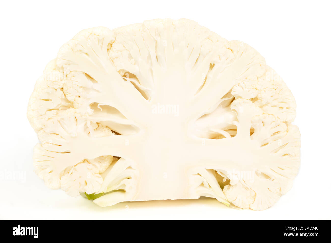 Half a cauliflower without leaves against white background Stock Photo