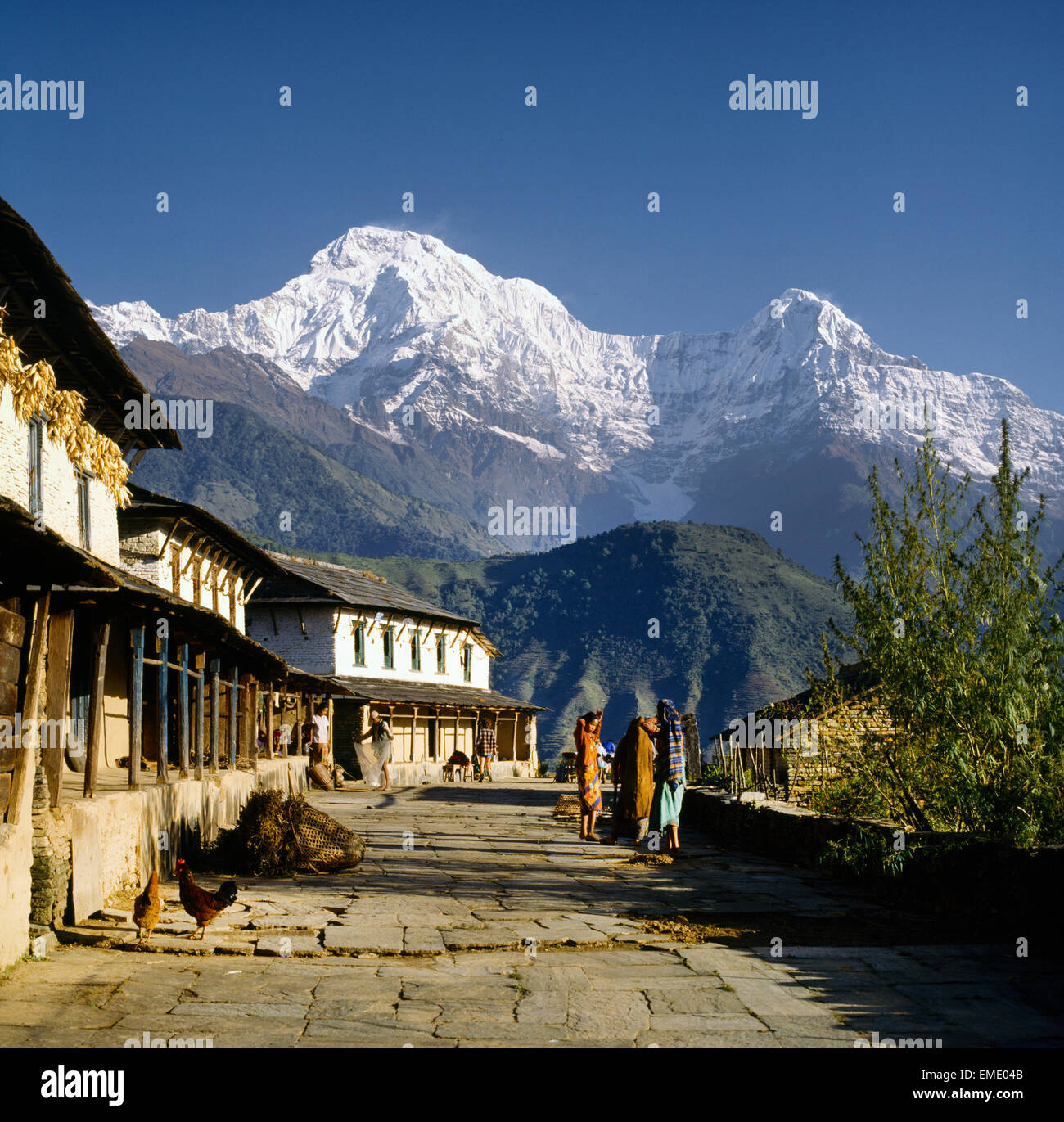 Nepal Annapurna South From Ghandrung Stock Photo