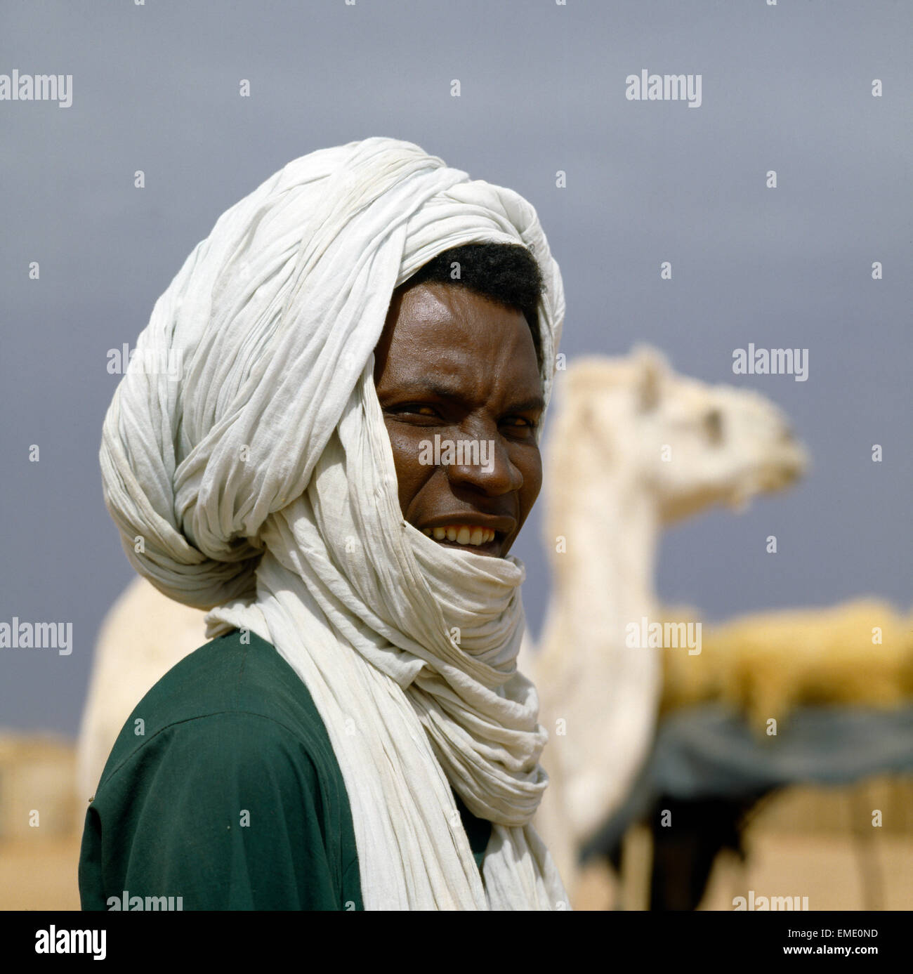 Arlit Niger Young Tuareg & Camel Stock Photo