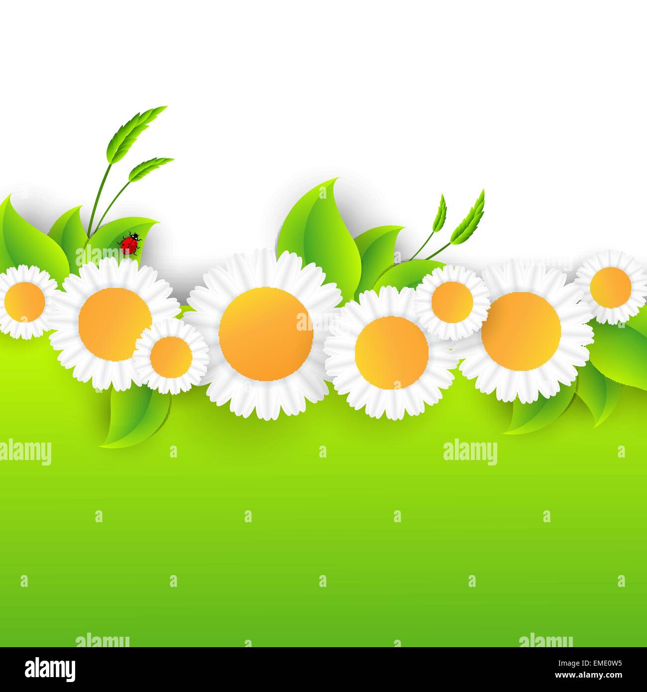 Vector abstract summer time background Stock Vector Image & Art - Alamy
