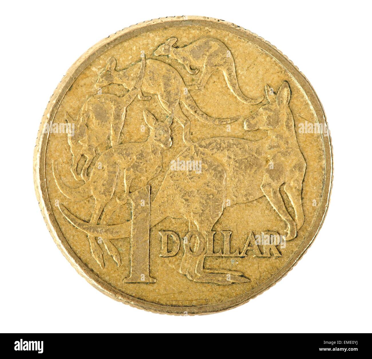 Australian 1 Dollar Coin Stock Photo