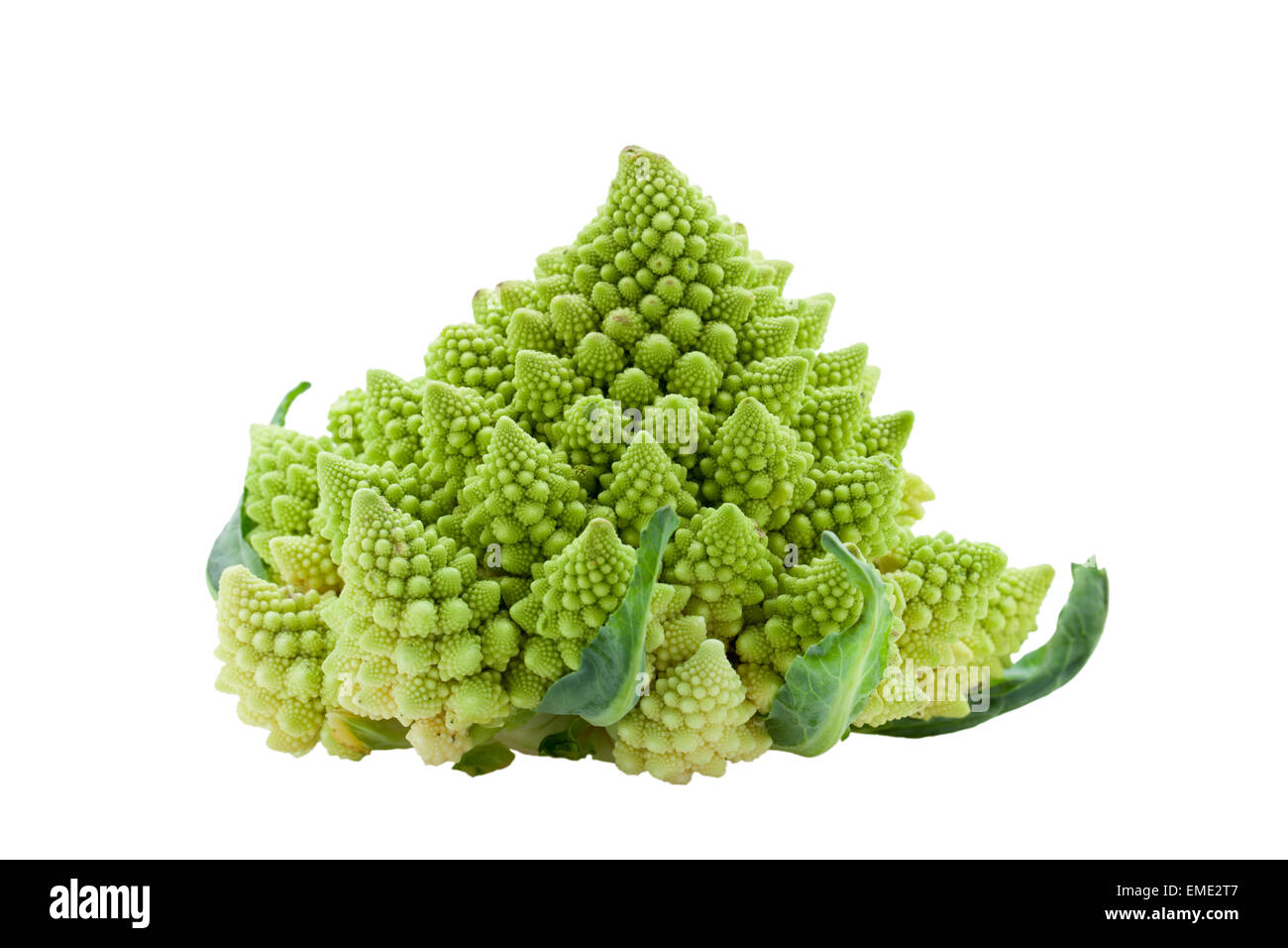 Ripe raw vegetable romanesco broccoli or cauliflower cabbage isolated Stock Photo