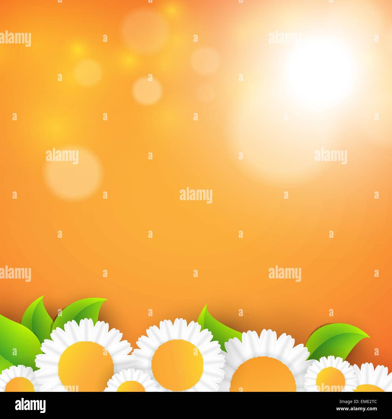 Vector abstract summer time background Stock Vector Image & Art - Alamy