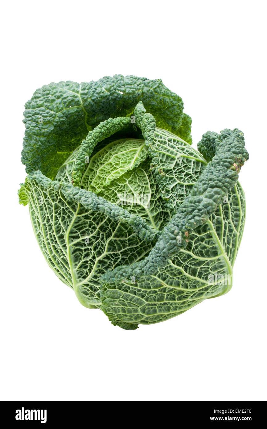 Head of fresh ripe Savoy cabbage isolated Stock Photo