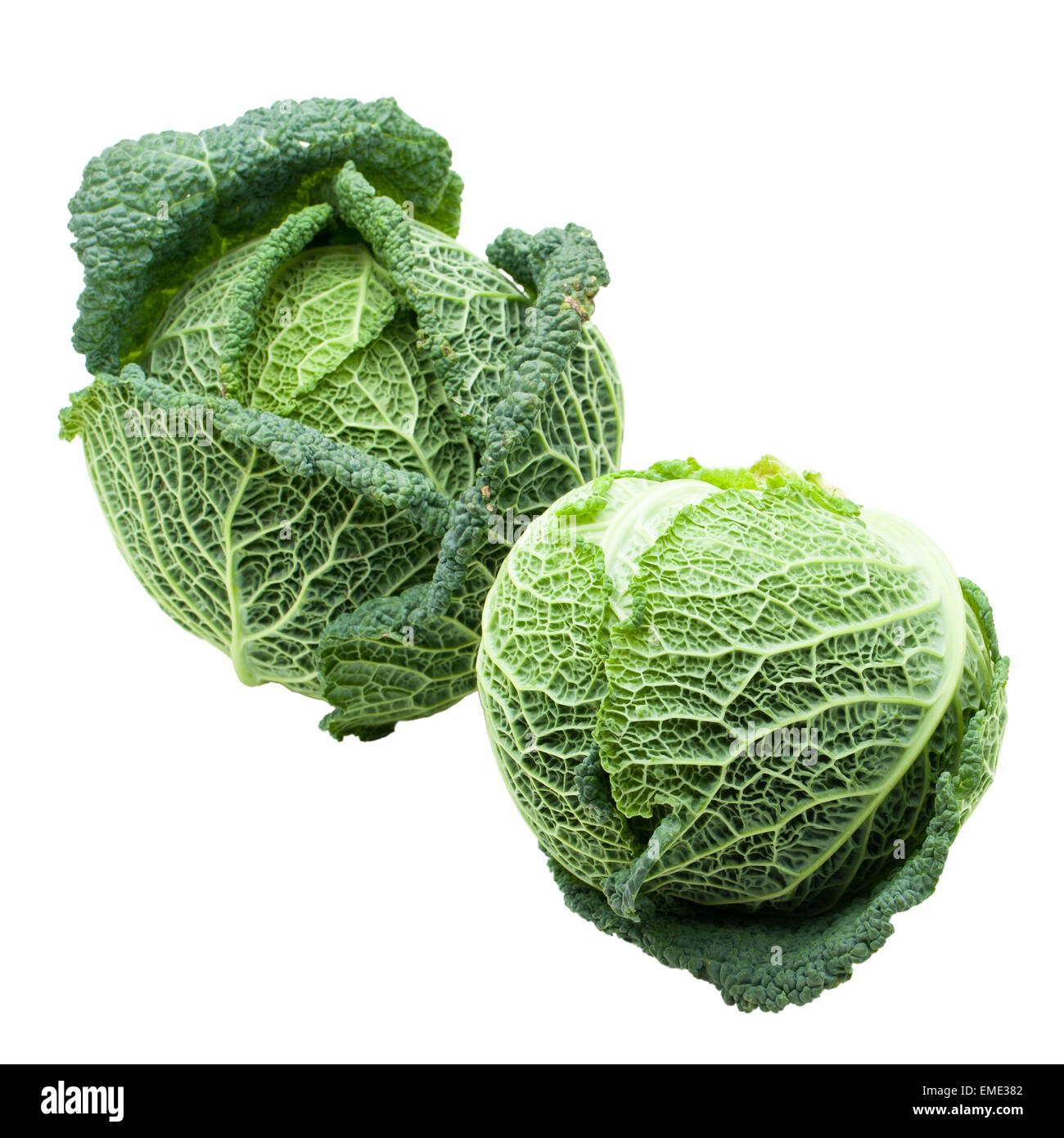 Two heads of fresh ripe Savoy cabbage isolated Stock Photo