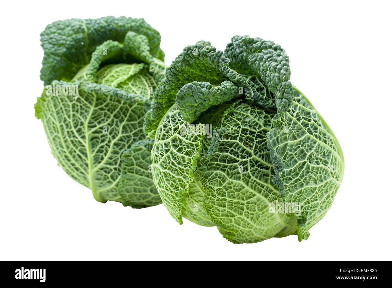 Two heads of fresh ripe Savoy cabbage isolated Stock Photo