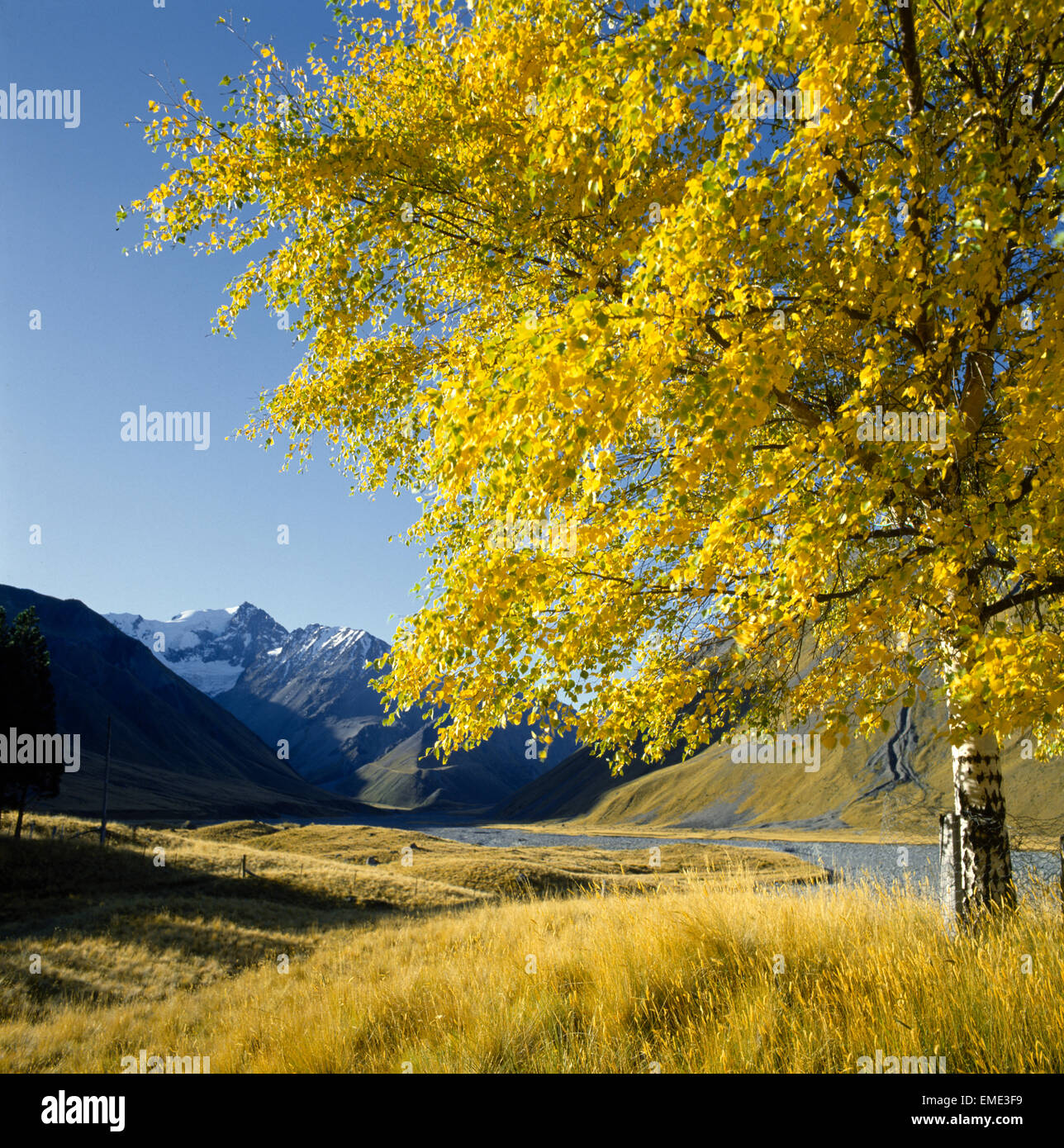 autumn upper cass valley south canterbury new zealand Stock Photo