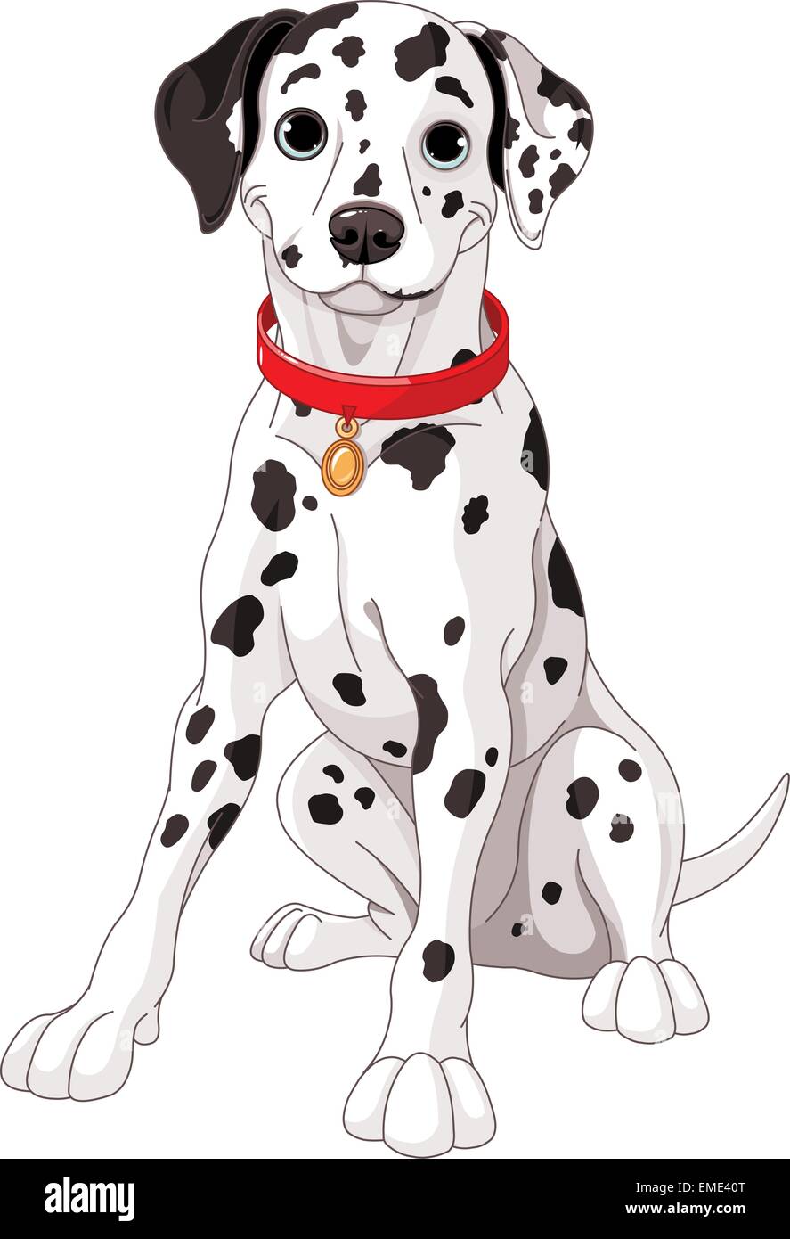 Cute Dalmatian Dog Stock Vector Image Art Alamy