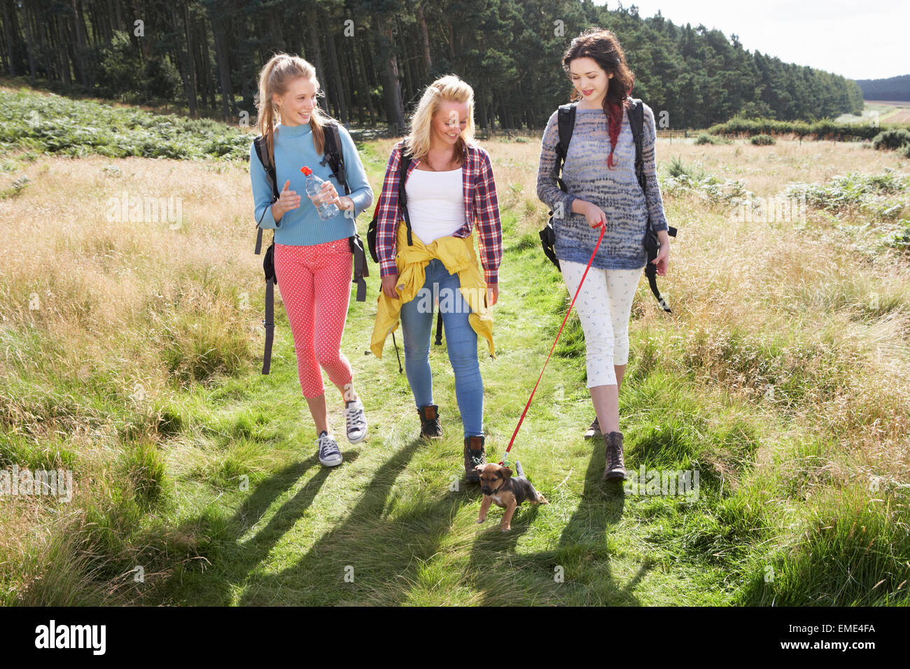 Group Of Teenage Girls Hiking In Countryside With Dog Stock Photo - Alamy