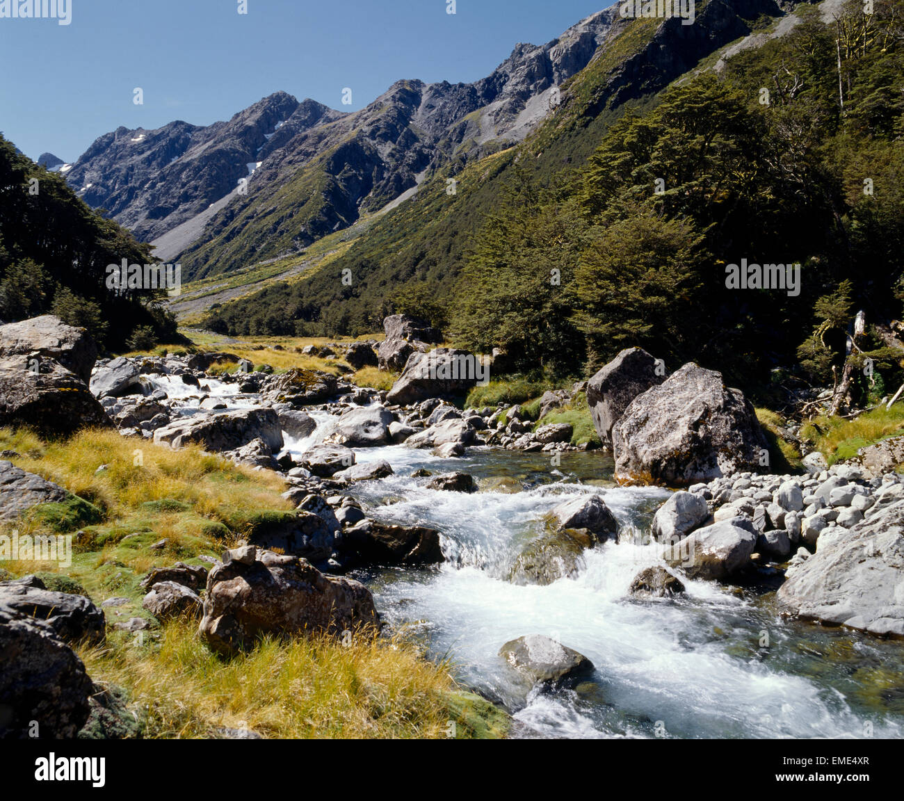 South Island New Zealand Arthurs Pass National Park Crow Valley Stock Photo