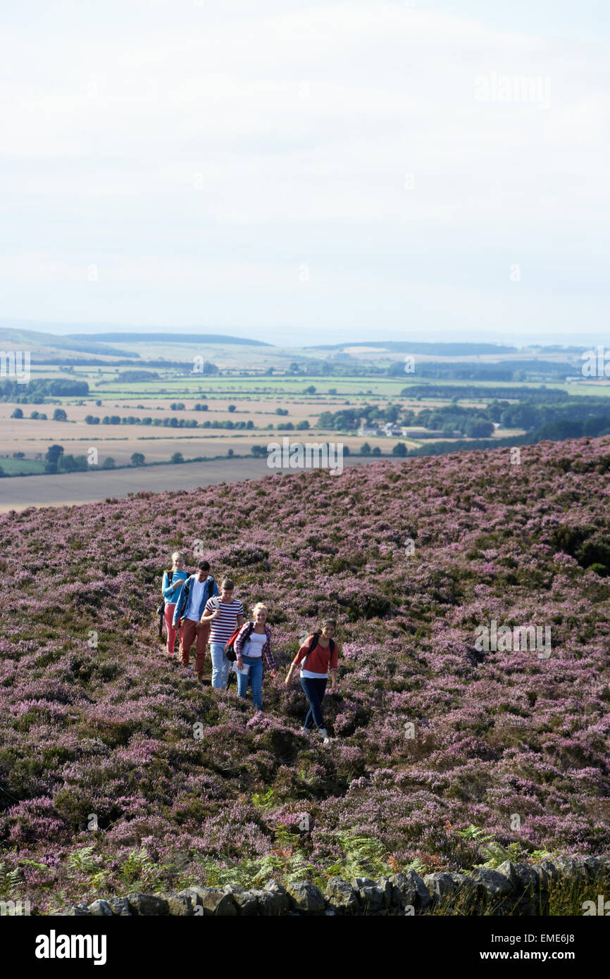 Group Of Young People Hiking Through Countryside Stock Photo - Alamy