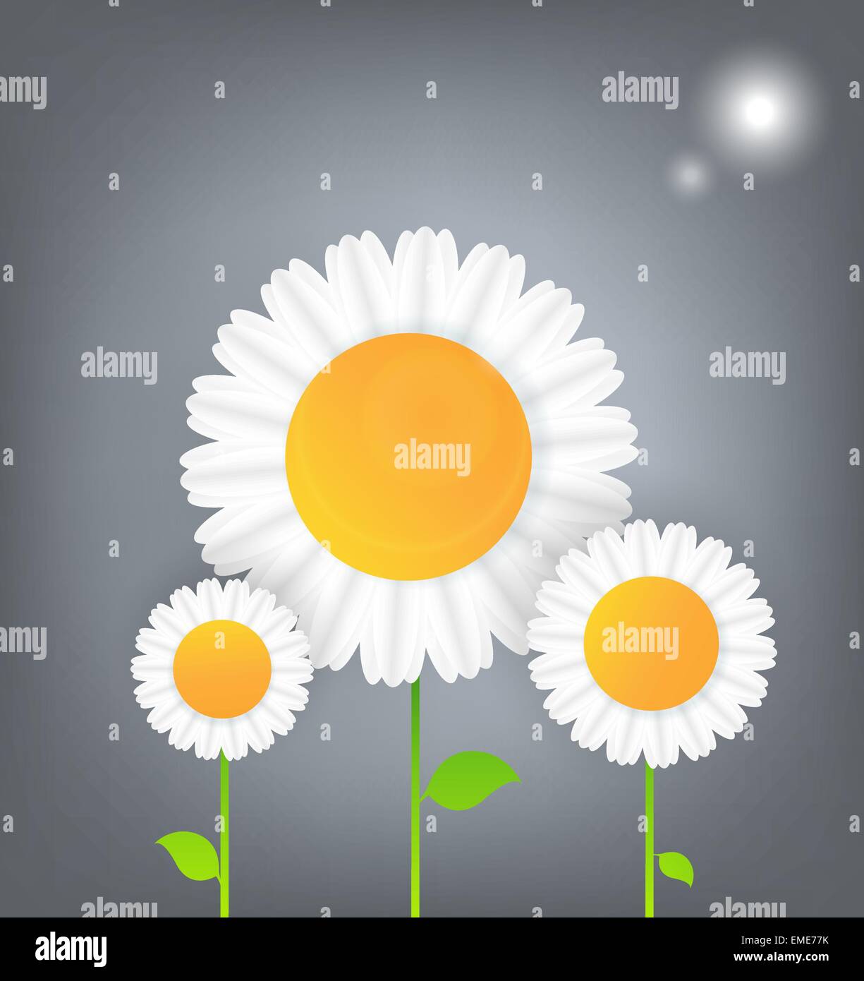 Vector abstract summer time background Stock Vector Image & Art - Alamy