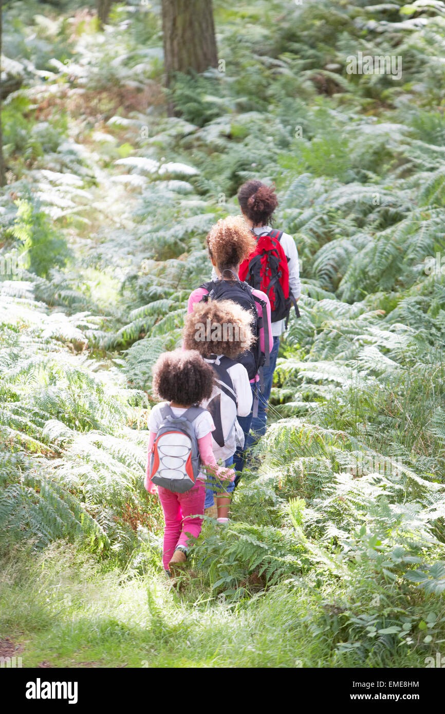 Family Group Hiking In Woods Together Stock Photo