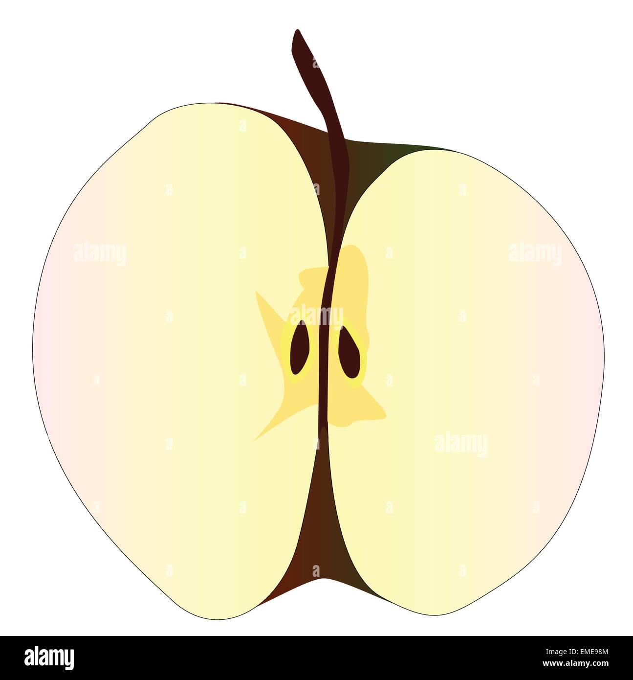 Cut Apple Stock Vector