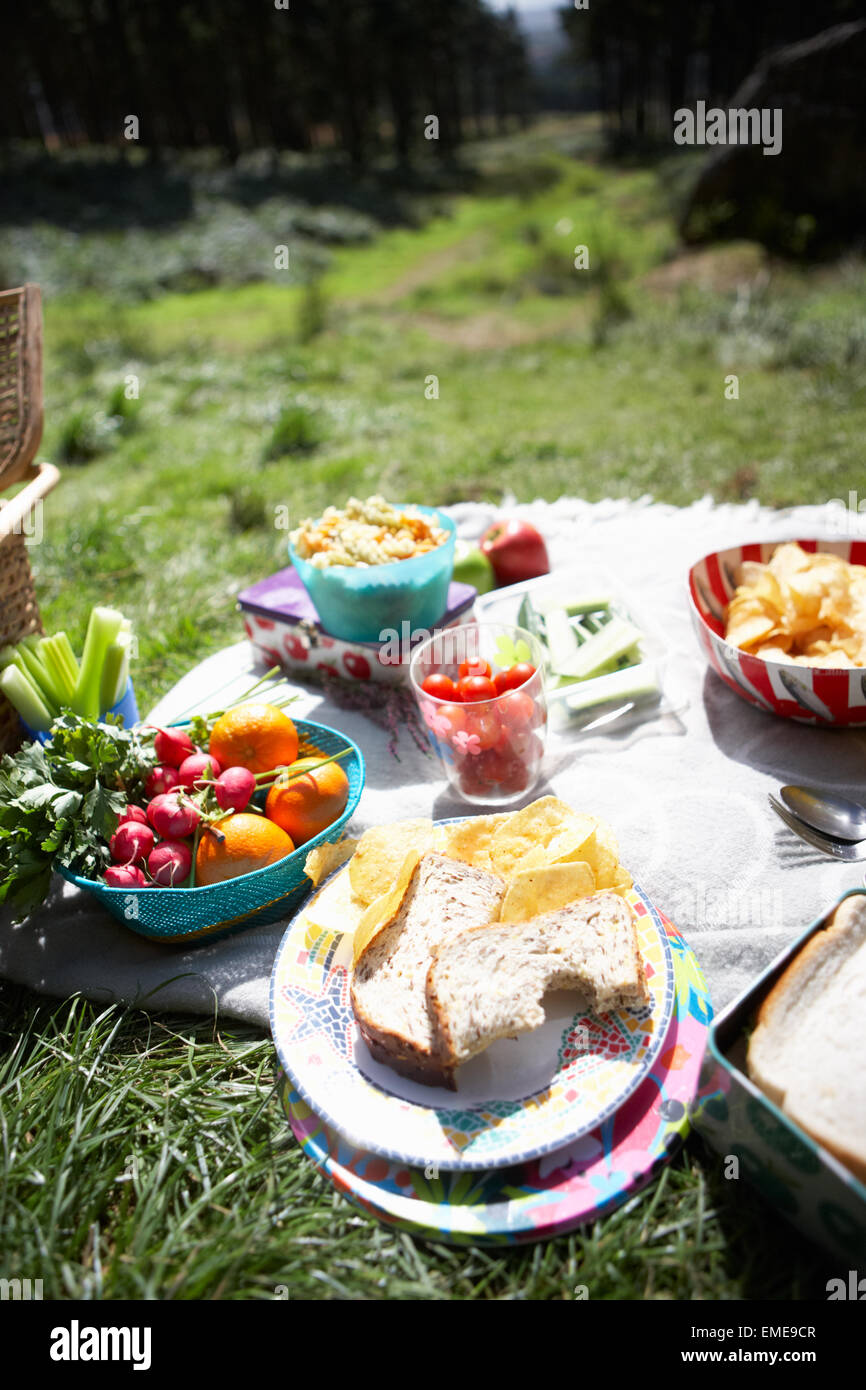 Picnic Food Laid Out On Blanket Stock Photo
