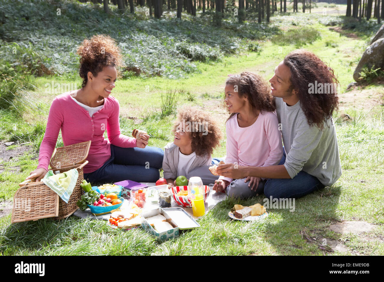 Family Having Picnic In Countryside Stock Photo