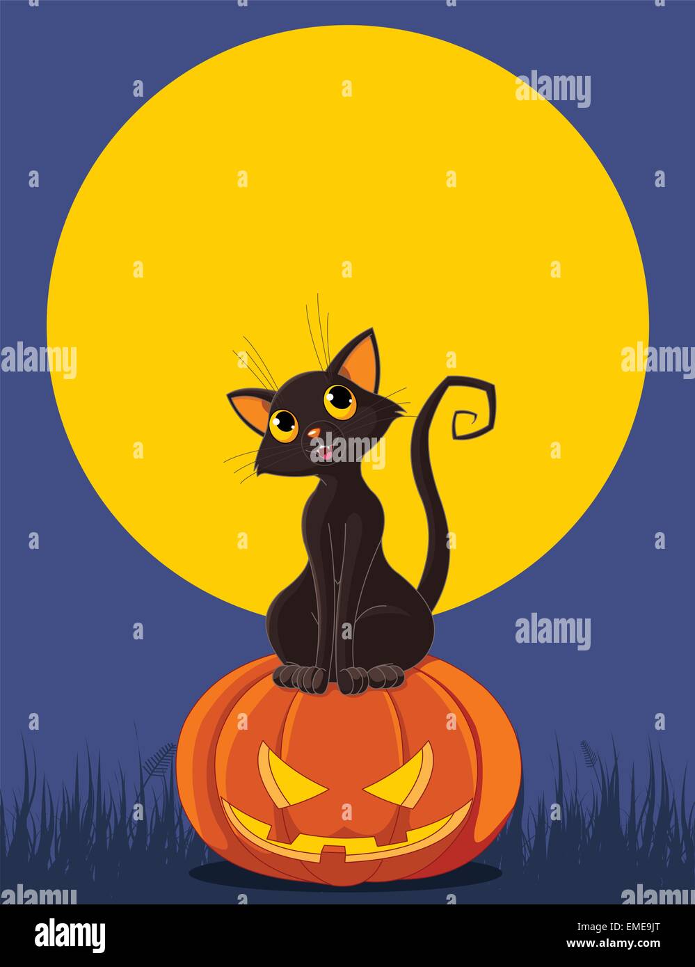 Halloween Cat on pumpkin Stock Vector Image & Art Alamy
