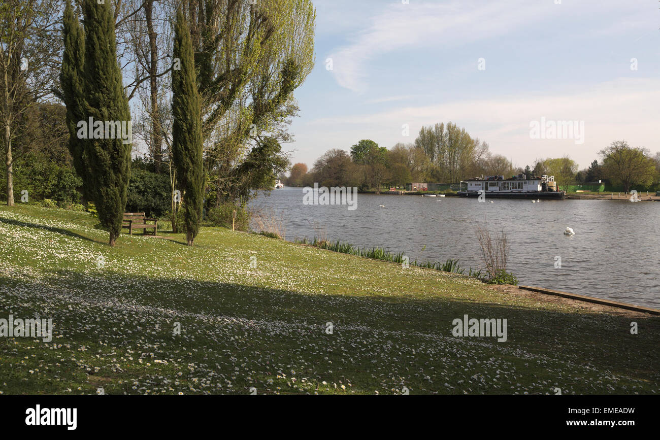 River Thames at Hampton seen from Temple Gardens Stock Photo