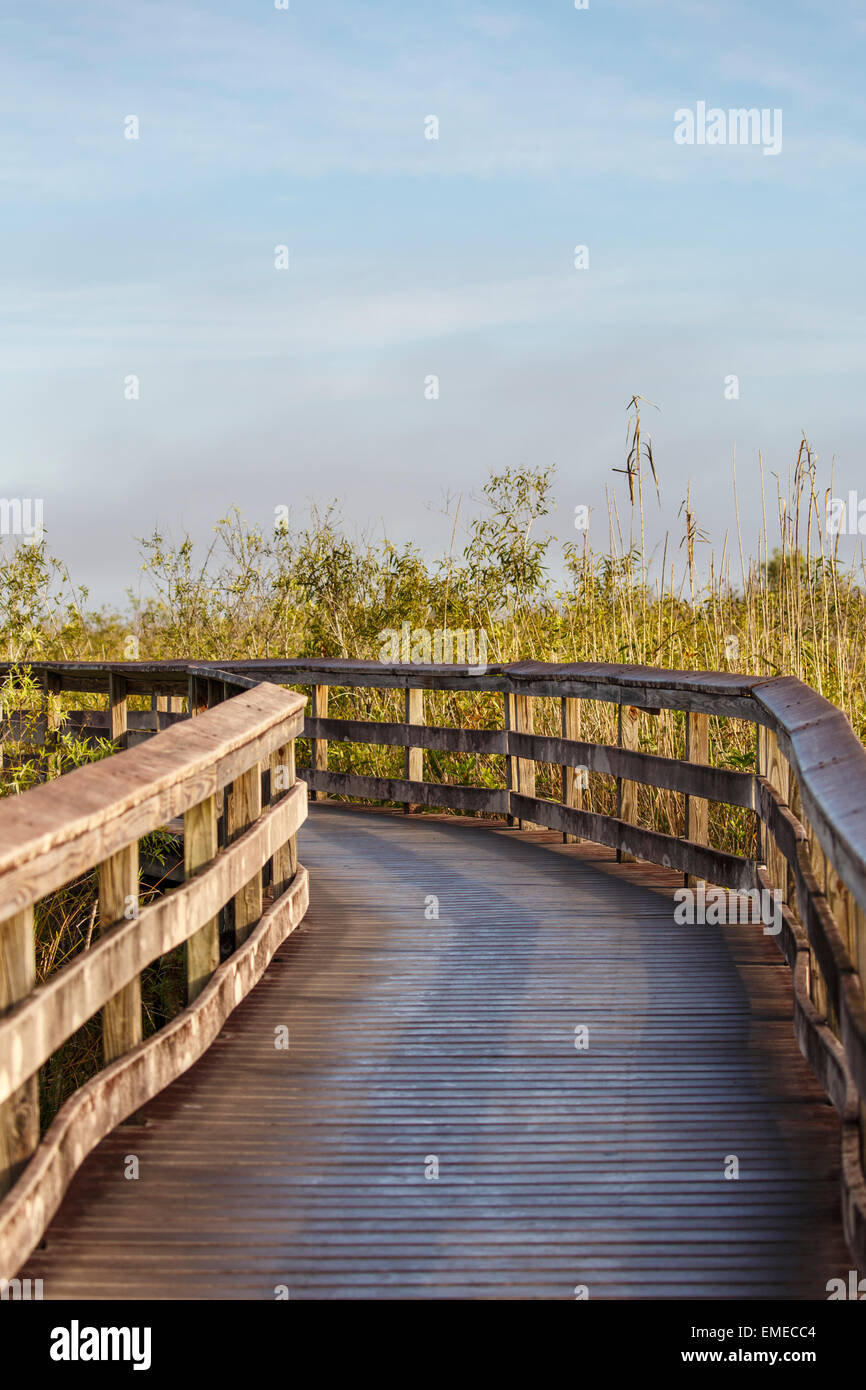 Anhinga Trail boardwalk at the Royal Palm visitor center in the Florida Everglades National Park. Stock Photo