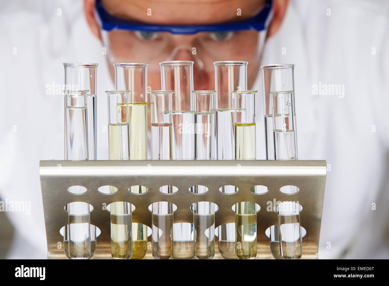 Scientist Studying Test Tubes In Rack Stock Photo