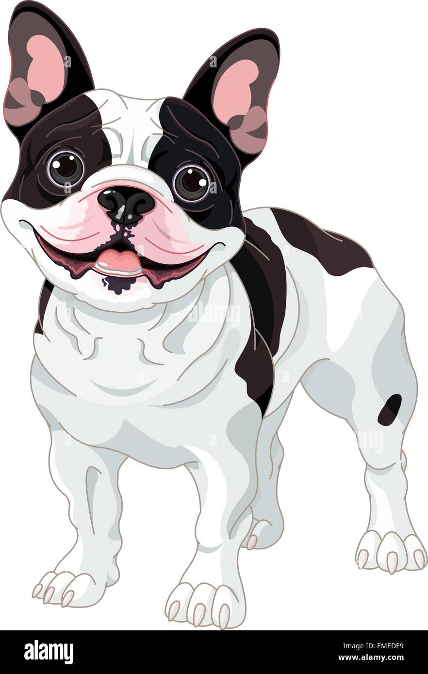Domestic white french bulldog Stock Vector Images - Alamy