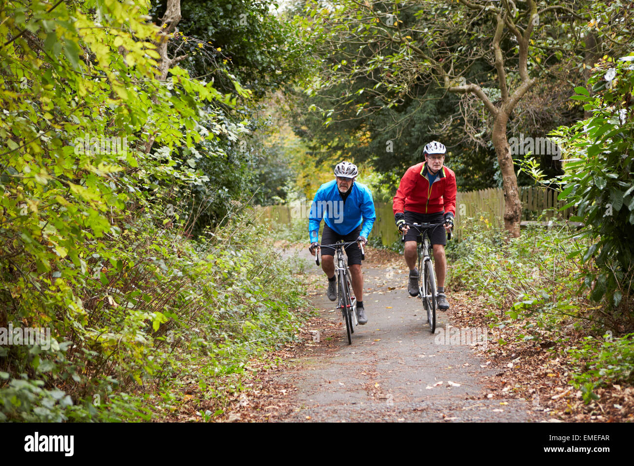 Two Mature Male Cyclists Riding Bikes Along Path Stock Photo