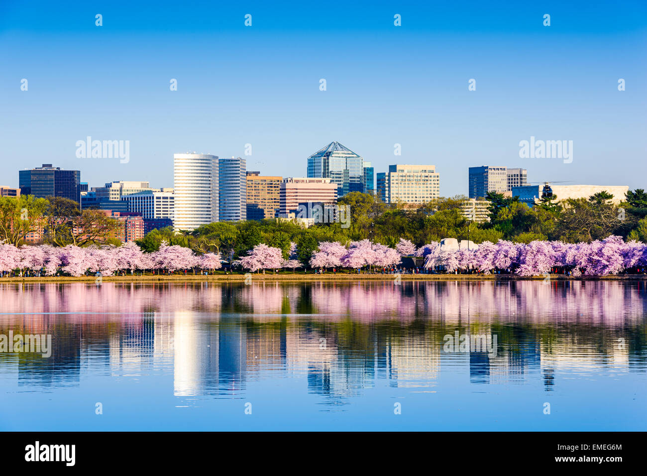 Washington, D.C. at the Tidal Basin during cherry blossom season with the Rosslyn business distict citycape. Stock Photo