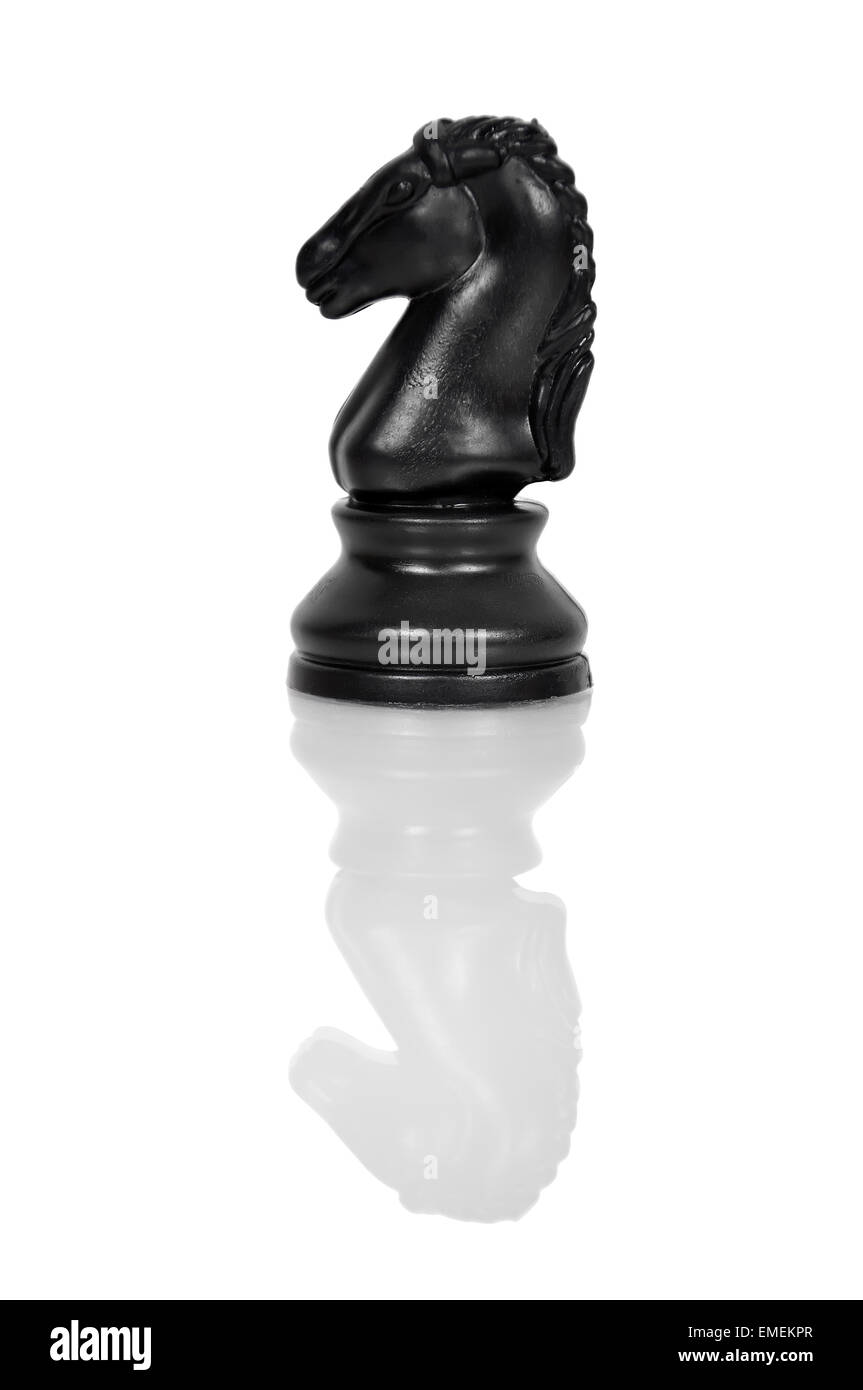 Chess piece knight with reflection on white background Stock Photo