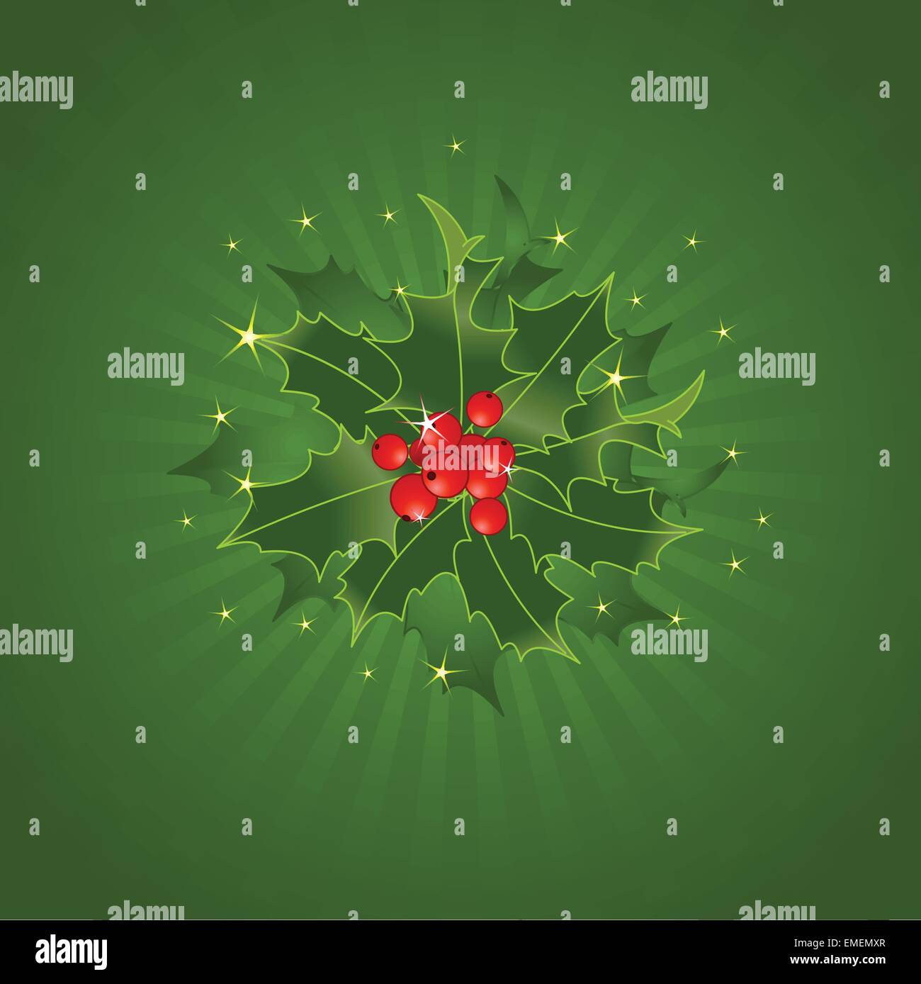 Christmas Holly On Green Stock Vector