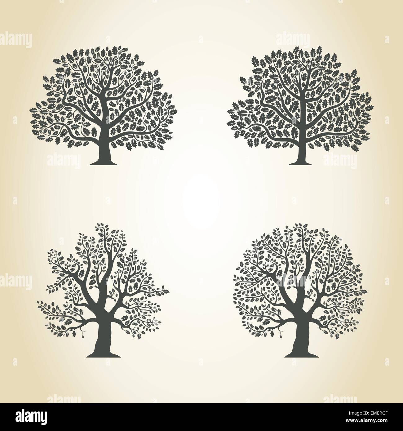 Oak birch wood Stock Vector Images - Alamy