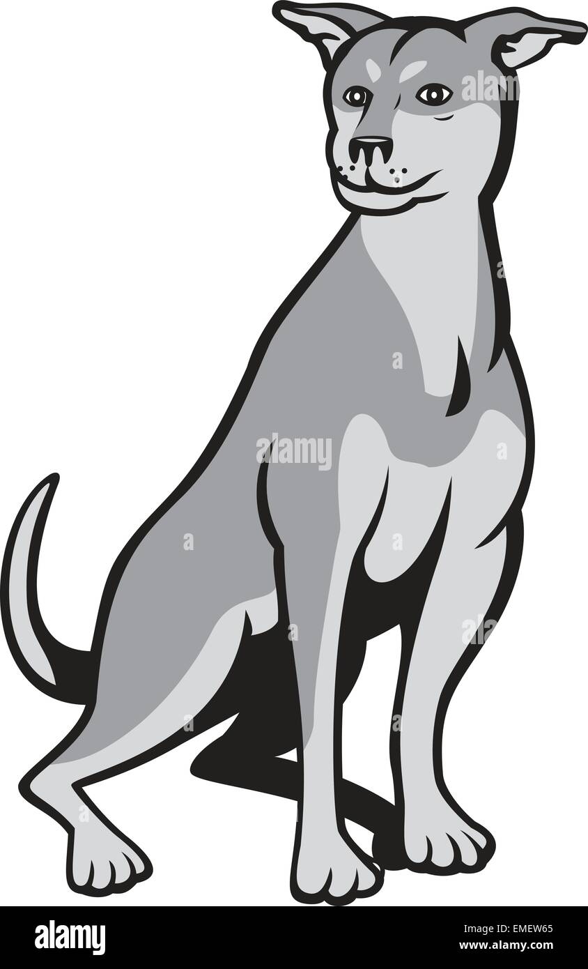 Cross_breed Stock Vector Images - Alamy