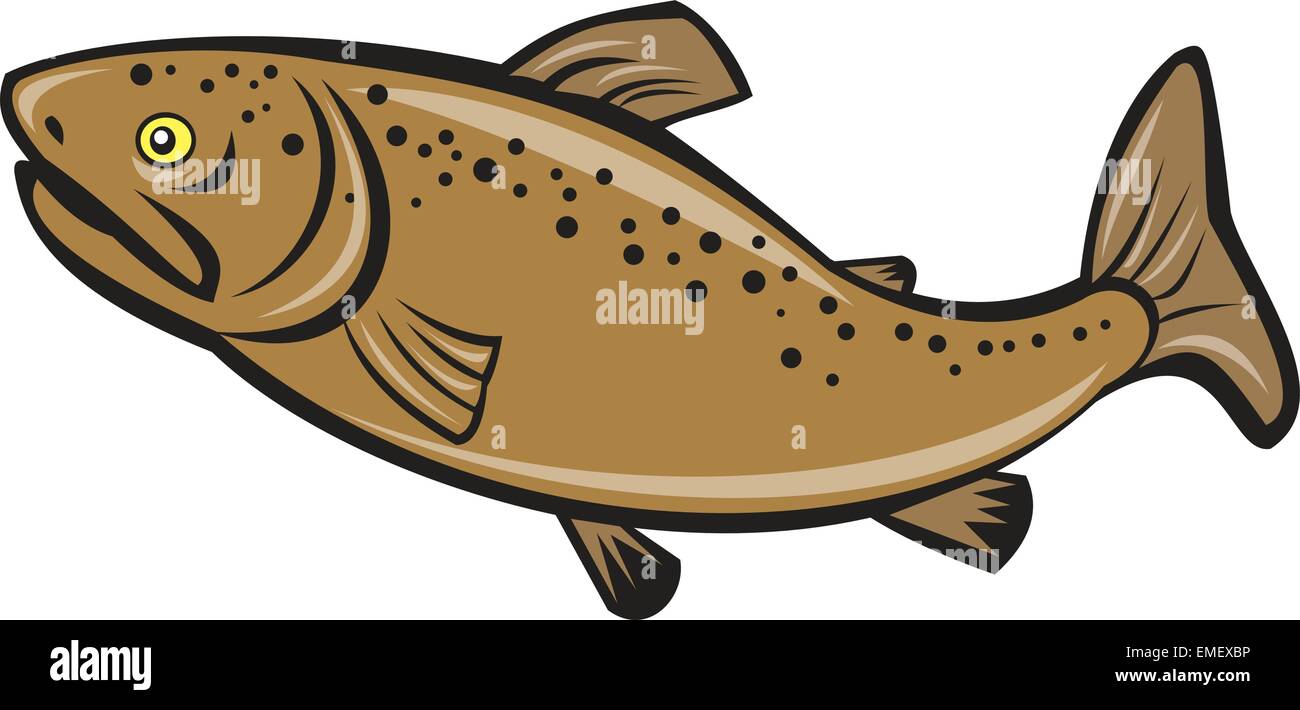Brown Trout Fish Side Cartoon Stock Vector
