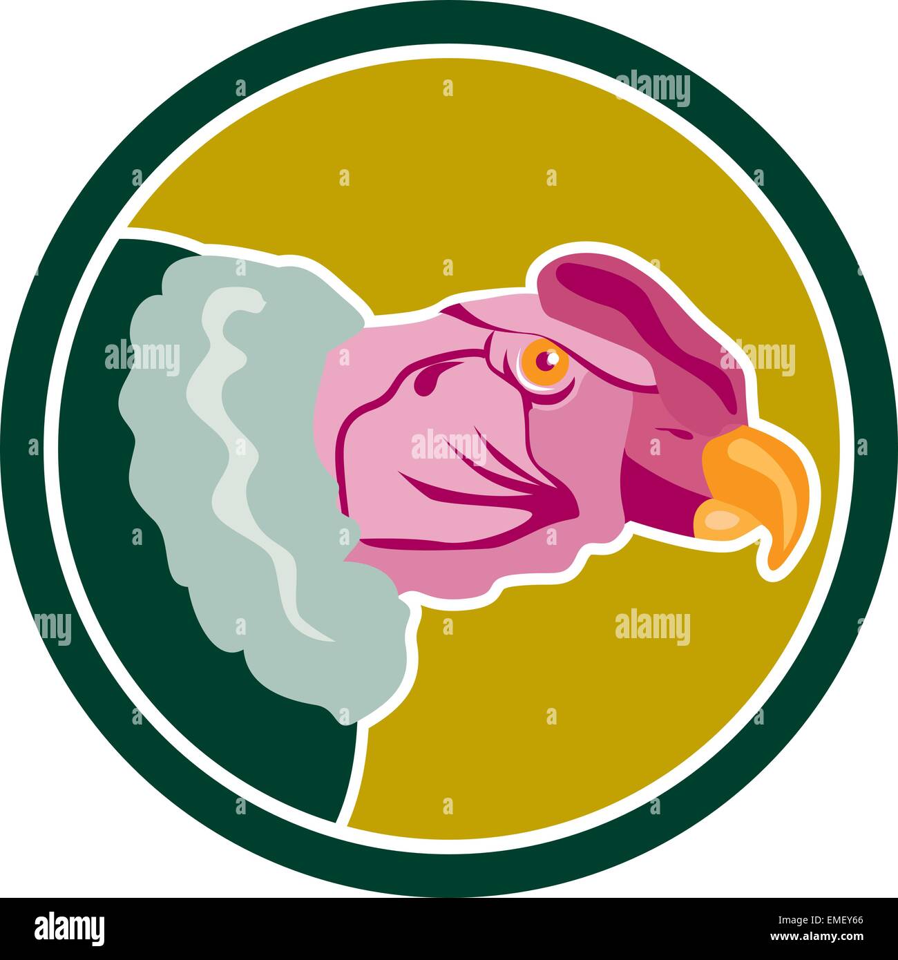 Andean condor Stock Vector Images - Alamy