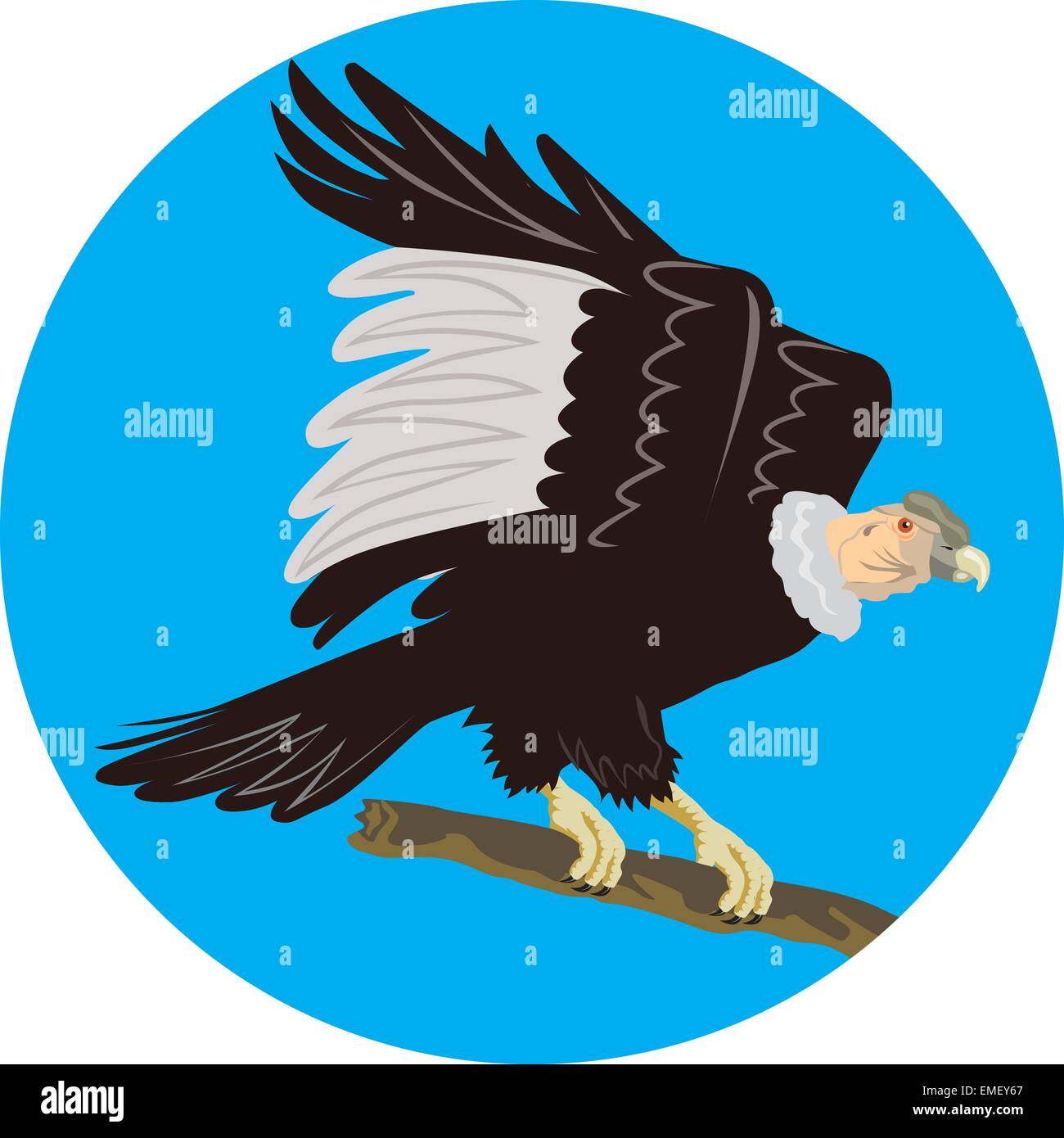 California Condor Perching Branch Circle Retro Stock Vector Image & Art ...