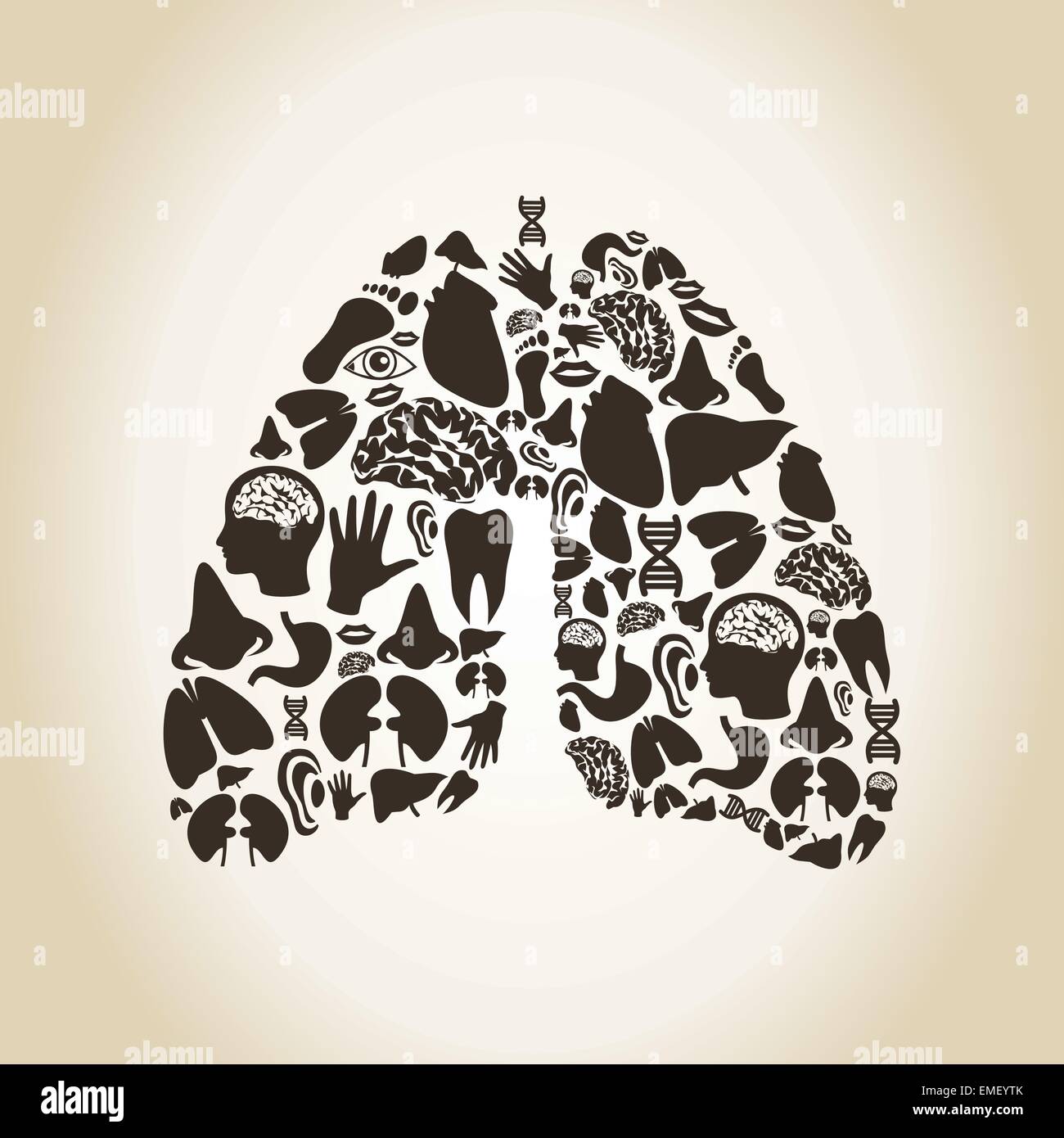 Lungs Stock Vector
