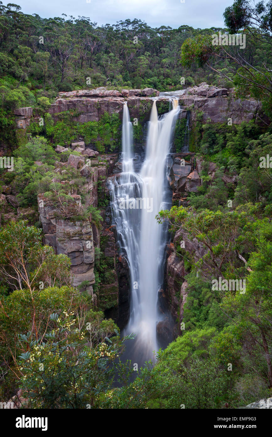 Carrington Falls - Budderoo National Park - NSW - Australia Stock Photo