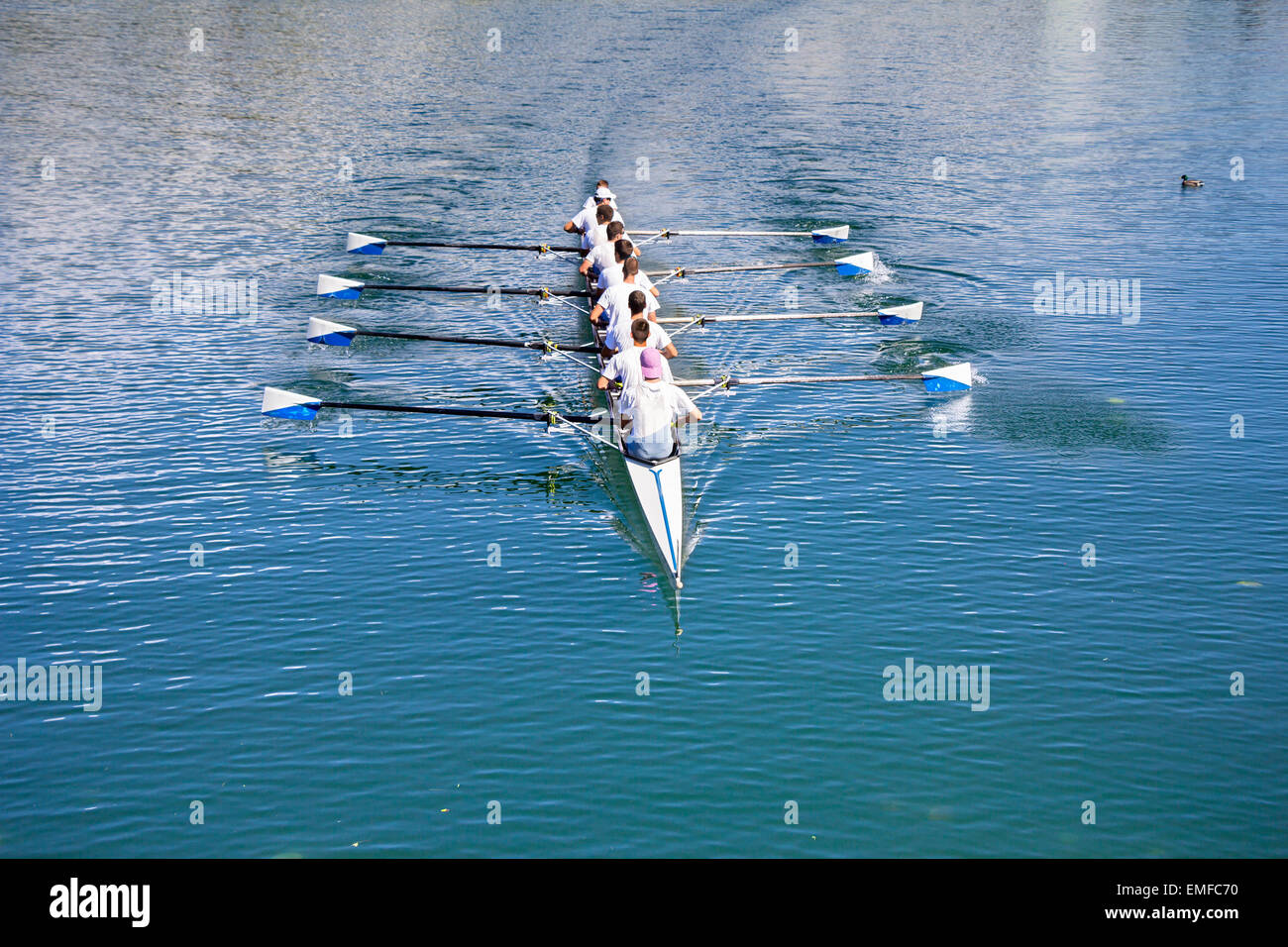 Boat coxed eight Rowers rowing on the blue lake Stock Photo Alamy