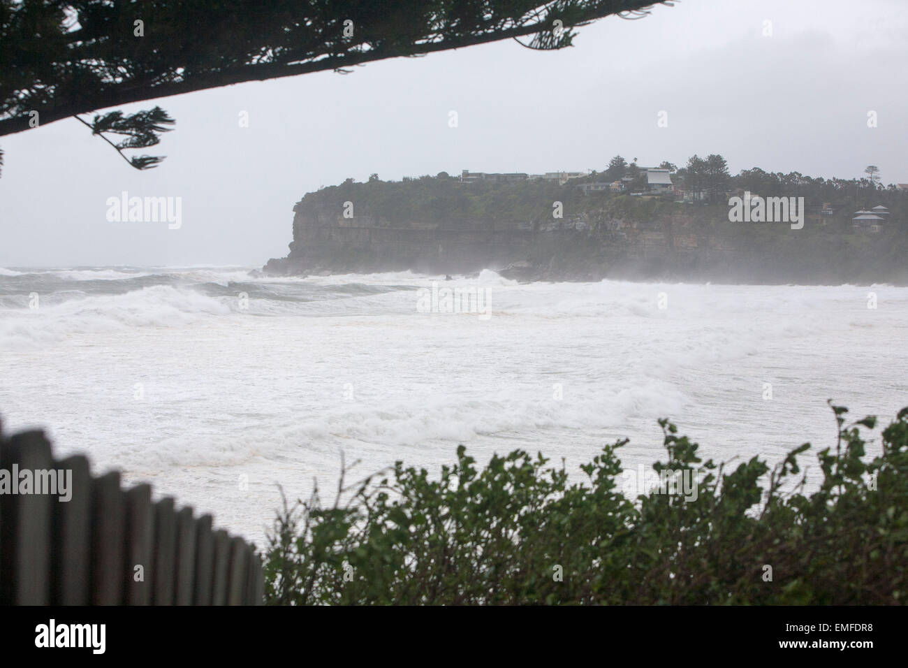 Sydney, Australia. 21st Apr, 2015. In Avalon on Sydney's Northern Beaches fallen trees and telegraph poles block roads and cause significant damage to property Credit:  martin berry/Alamy Live News Stock Photo