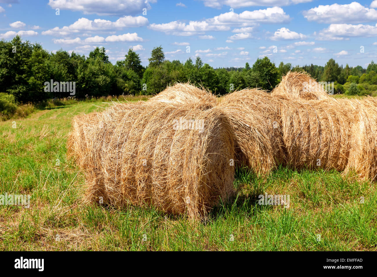 Straw bales on farmland in summer sunny day Stock Photo