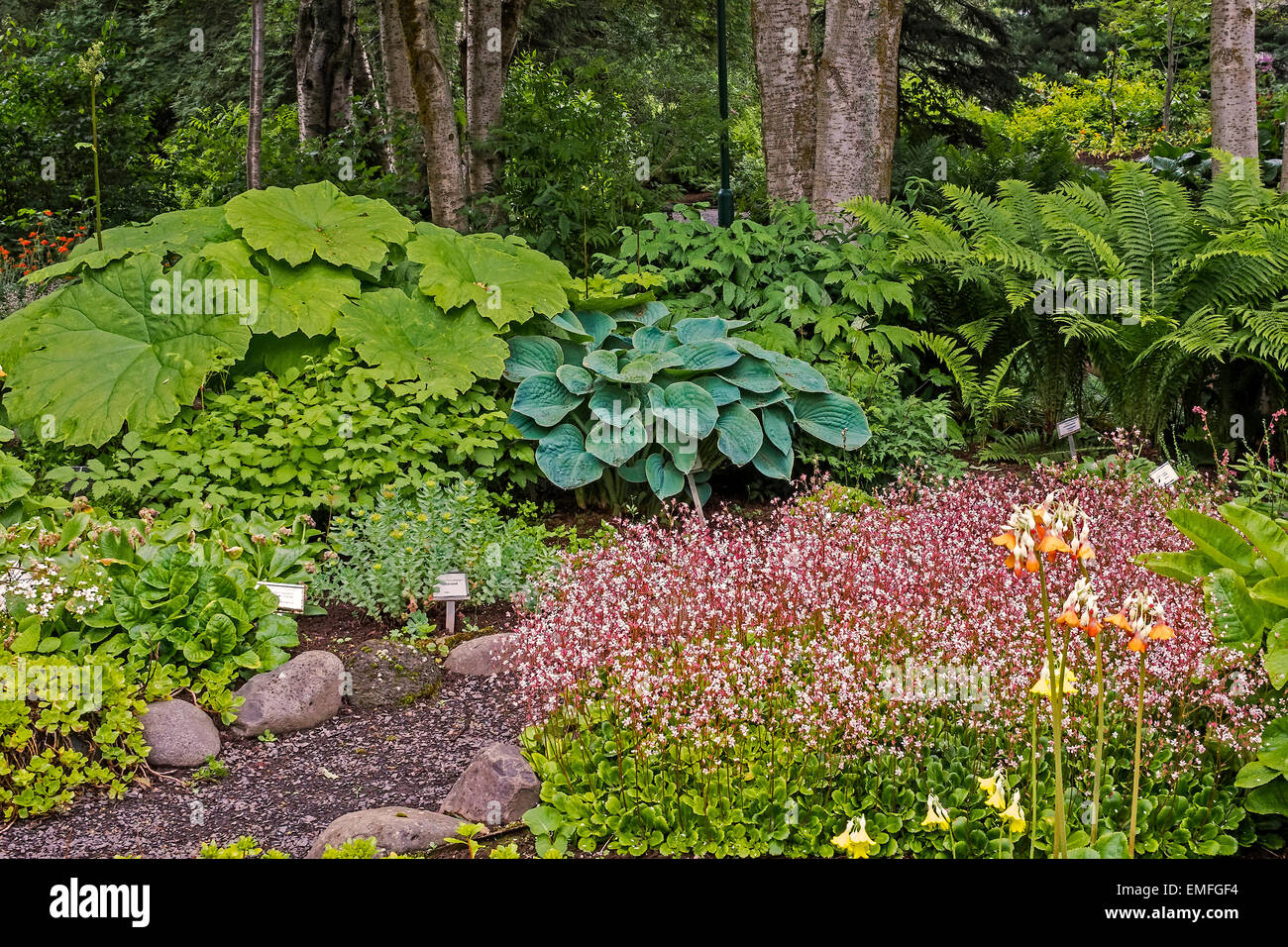 Botanical  Gardens  Akureyri Iceland Stock Photo