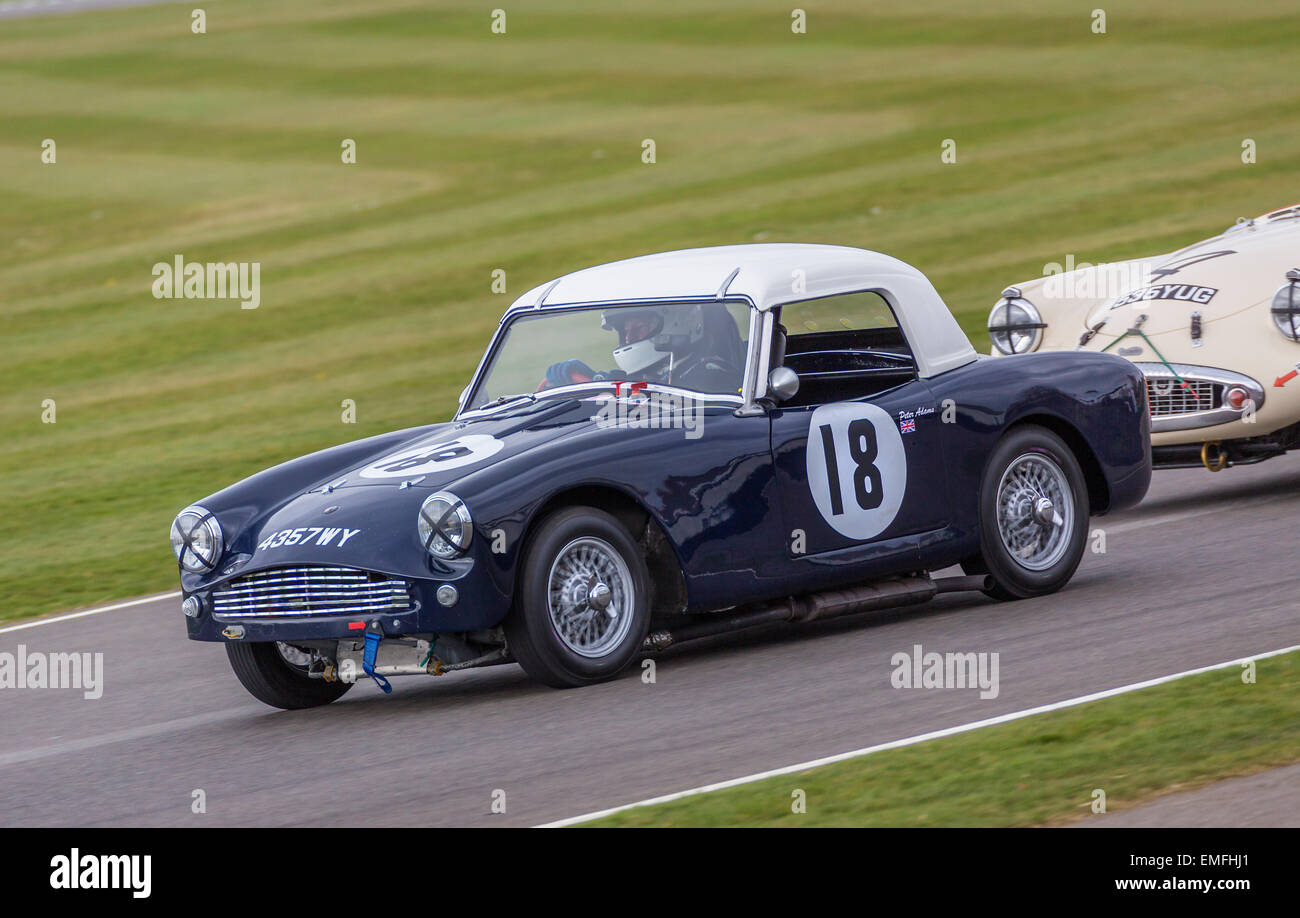 Peter Adams in the 1961 Turner Mk2 during the Les Leston Cup race, 73rd GRRC Members meeting, Goodwood, Sussex, UK Stock Photo