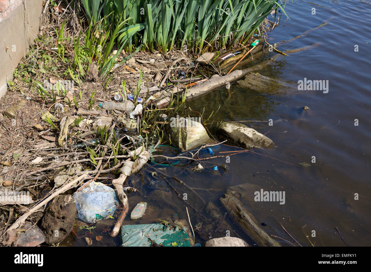 Rubbish in River Thames at the shoreline River Thames Hampton Middlesex England Stock Photo