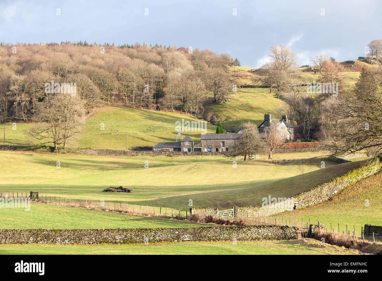 Winter on a Lakeland farm, Lake District National Park, Cumbria, England, UK Stock Photo