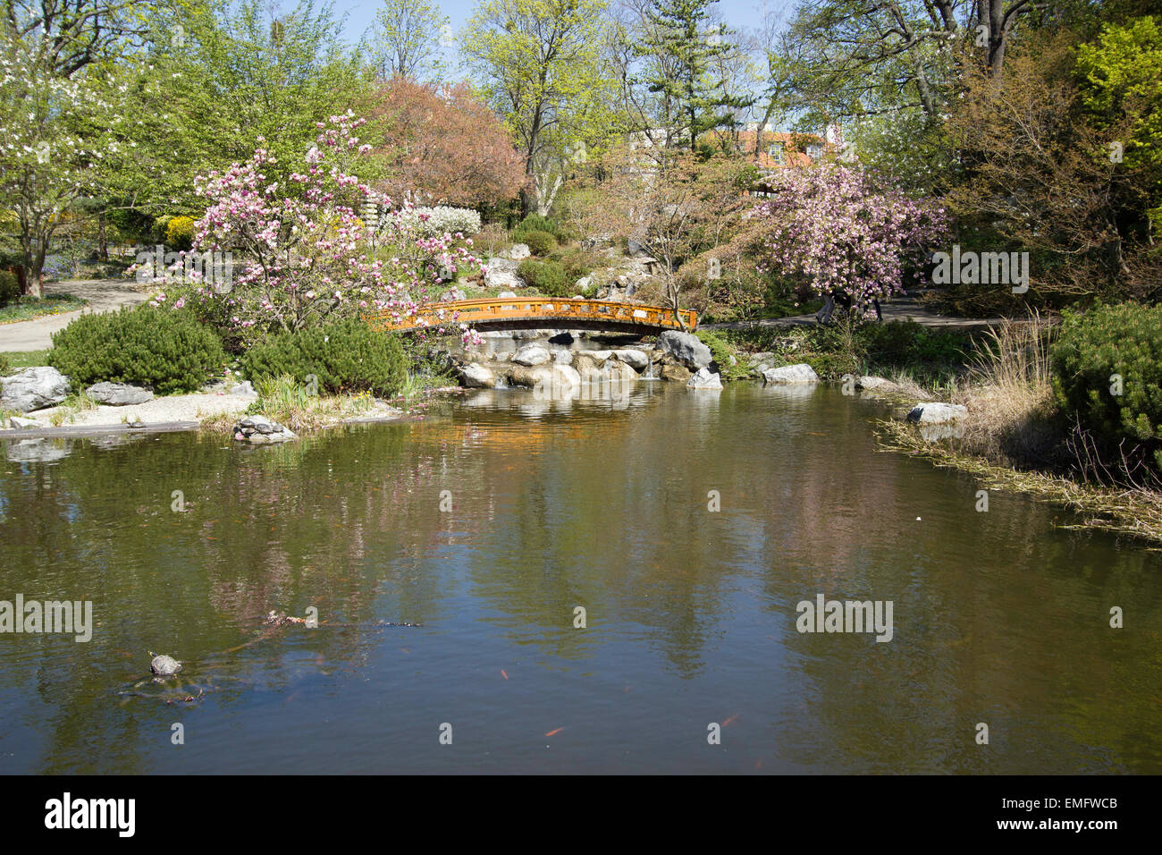 The level of the pond in Setagaya park in Vienna. Stock Photo