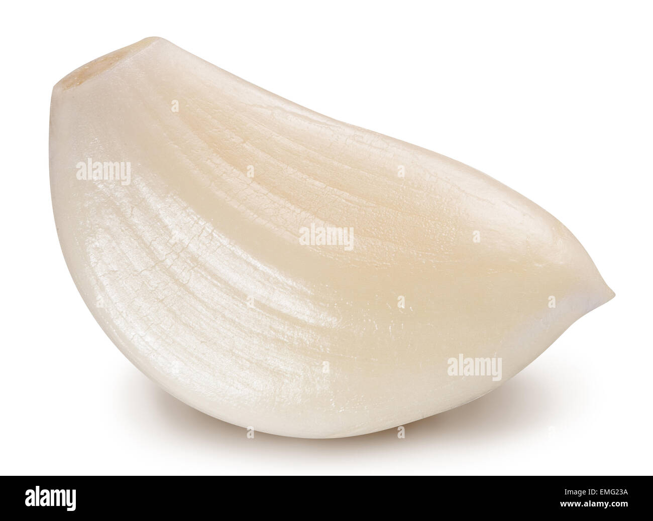 Peeled garlic clove isolated on a white background. Clipping paths. Stock Photo