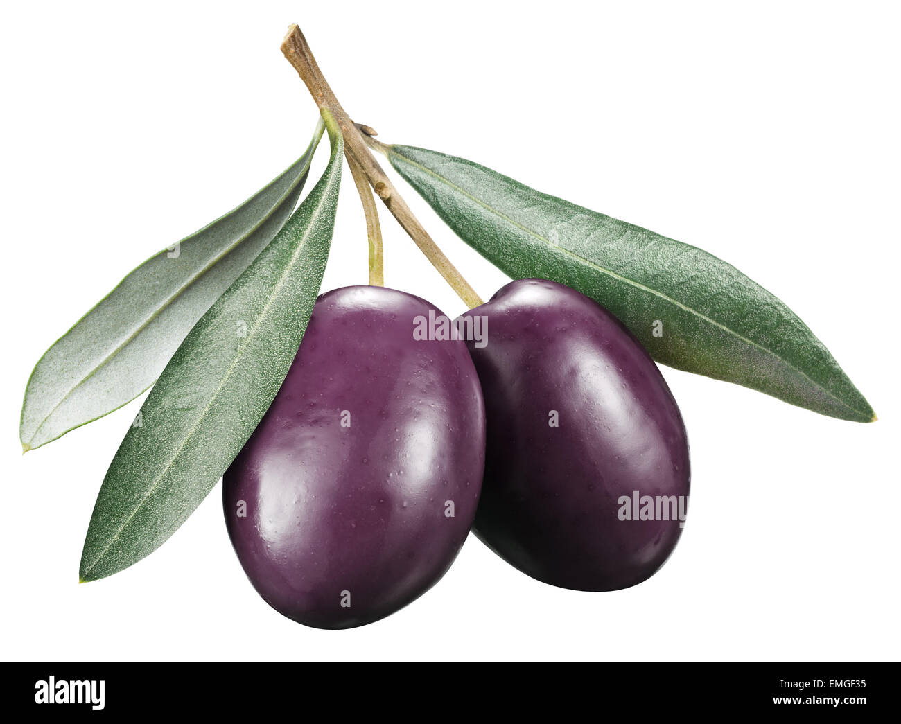 Kalamata olives with leaves on a white background. File contains clipping paths. Stock Photo