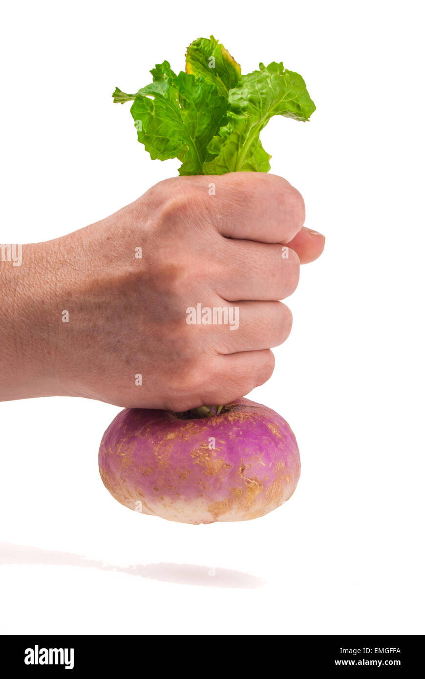 Ripe turnip in female hand isolated on white Stock Photo Alamy